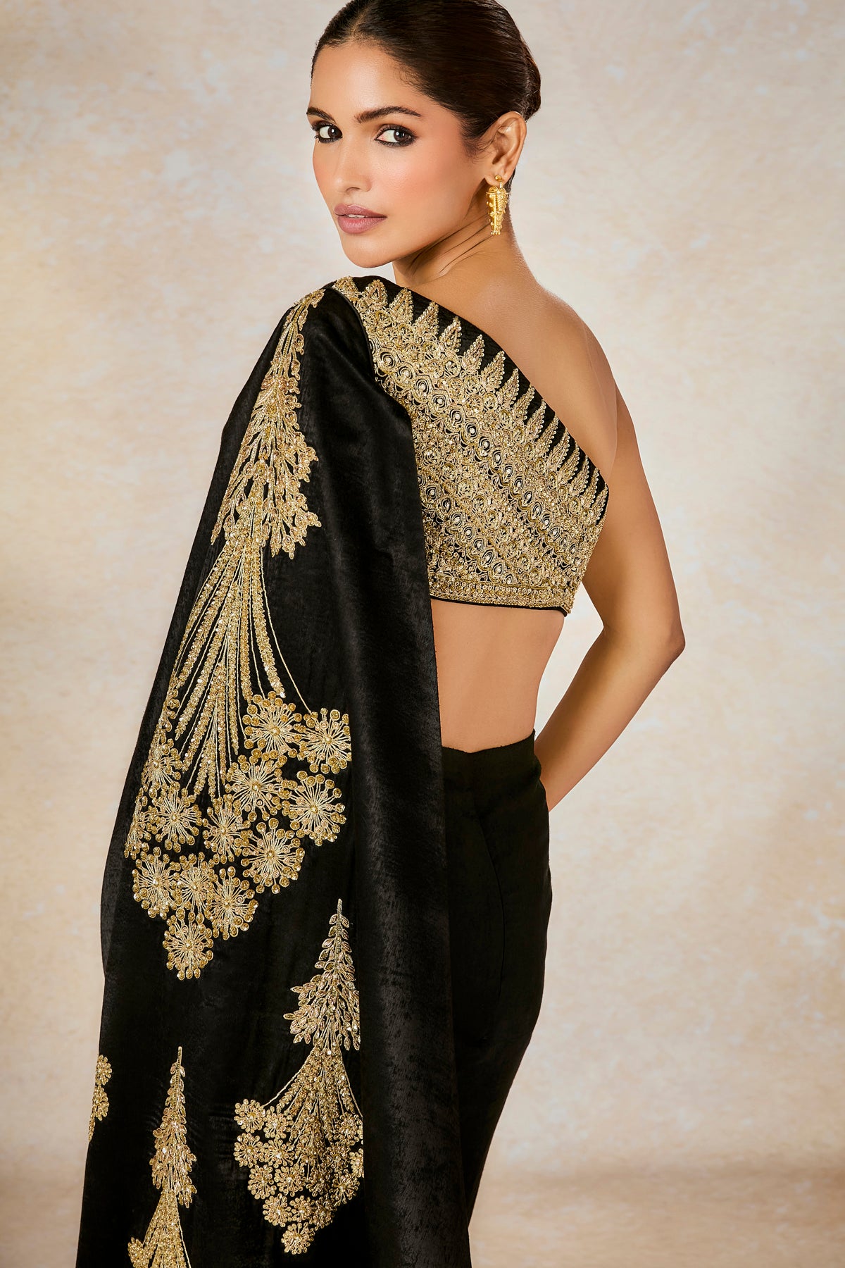 The Kala-Khatta Saree Gown