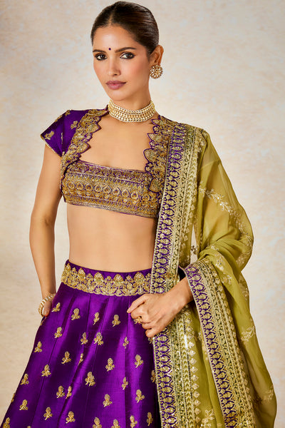 Jamun Fizz Lehenga