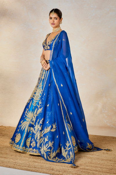 The Neel Bahar Lehenga