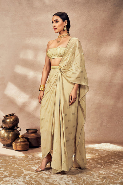 Beige Timber Tribe Drape Saree