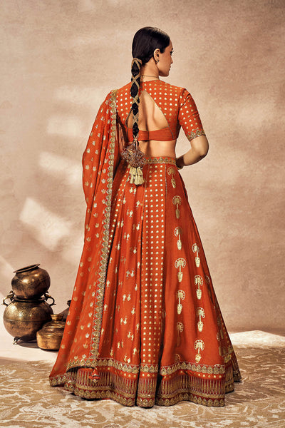 Rust Foil Lehenga Set