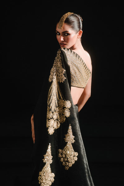 The Kala-Khatta Saree Gown